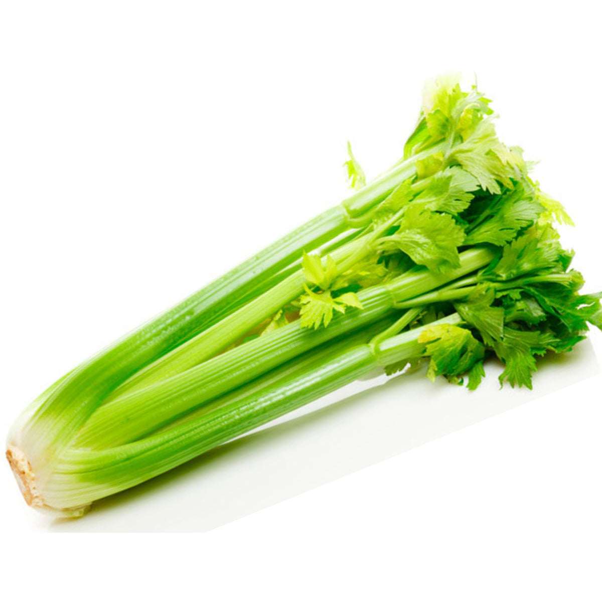 Celery [Bunch] Certified Organic Rita's Farm Produce