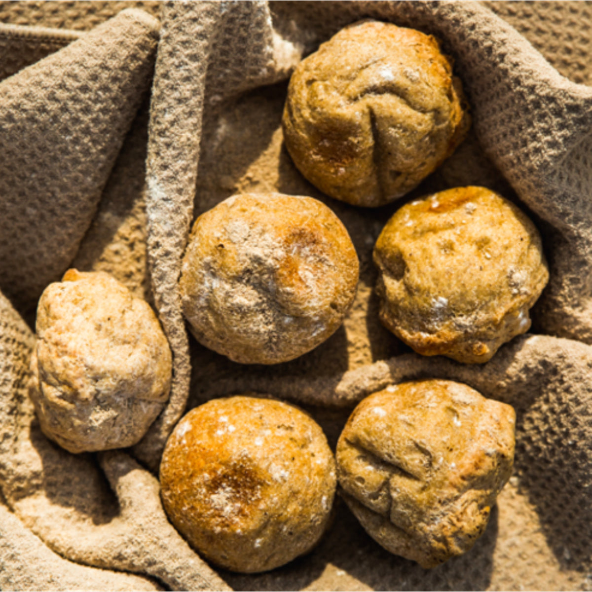 GF Precinct Dinner Rolls 270g 6pk Rita's Farm Produce