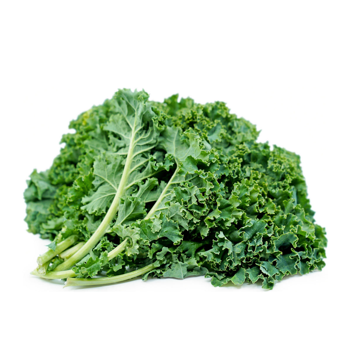 Kale Green [Bunch] Certified Organic Rita's Farm Produce