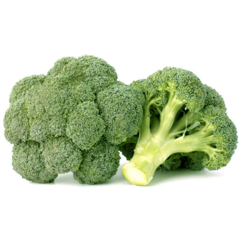Broccoli [Head] - Certified Organic – Rita's Farm Produce