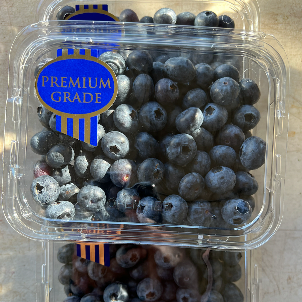 Big Blue Magic Jumbo Blueberries – Rita's Farm Produce